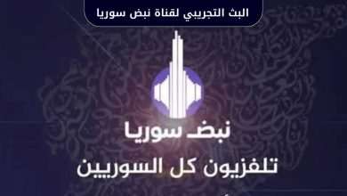 انطلاق البث التجريبي لقناة نبض سوريا