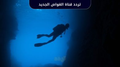 تردد قناة الغواص