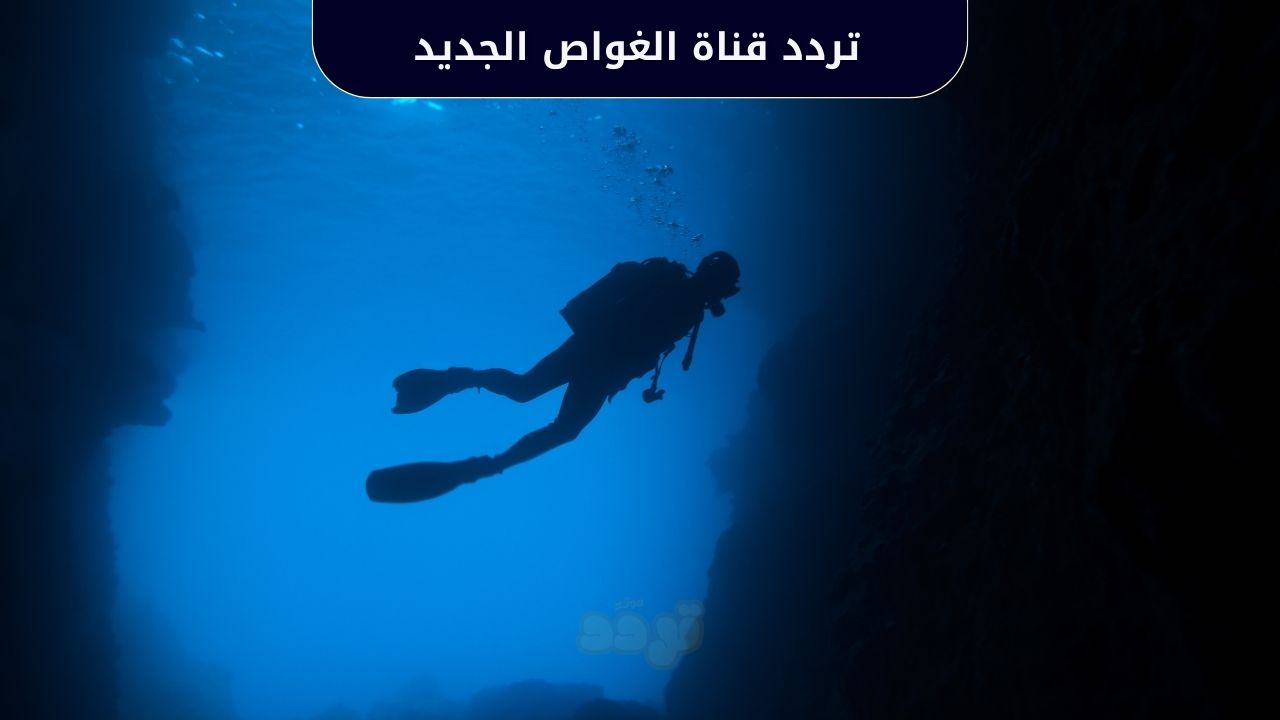 تردد قناة الغواص (Diver) الجديد على النايل سات.. لكل عشاق الغطس 1 تردد قناة الغواص